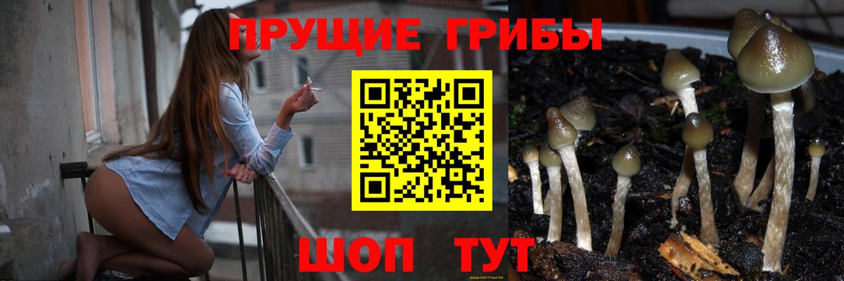 Донецк  Галлюциногенные грибы GOLDEN TEACHER  Вход с VPN 