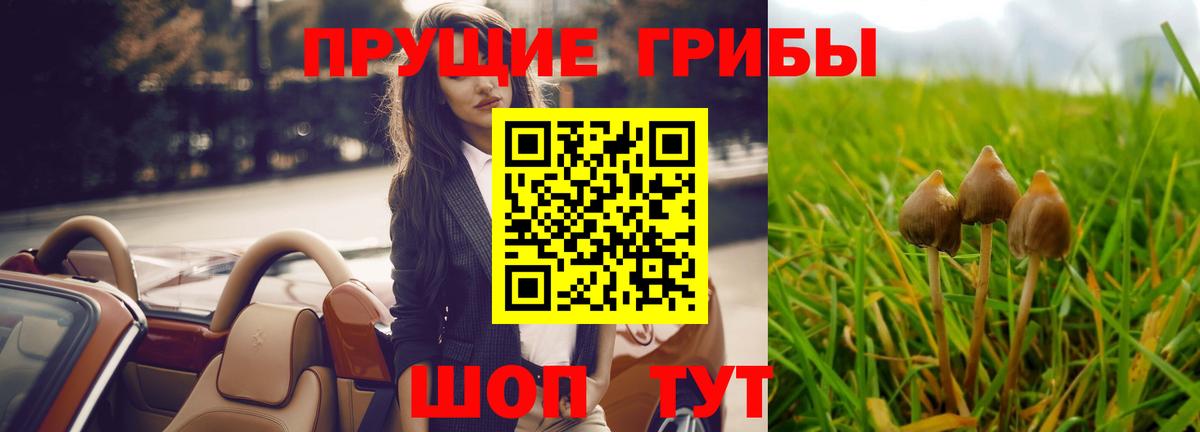 Псилоцибиновые грибы прущие грибы Донецк